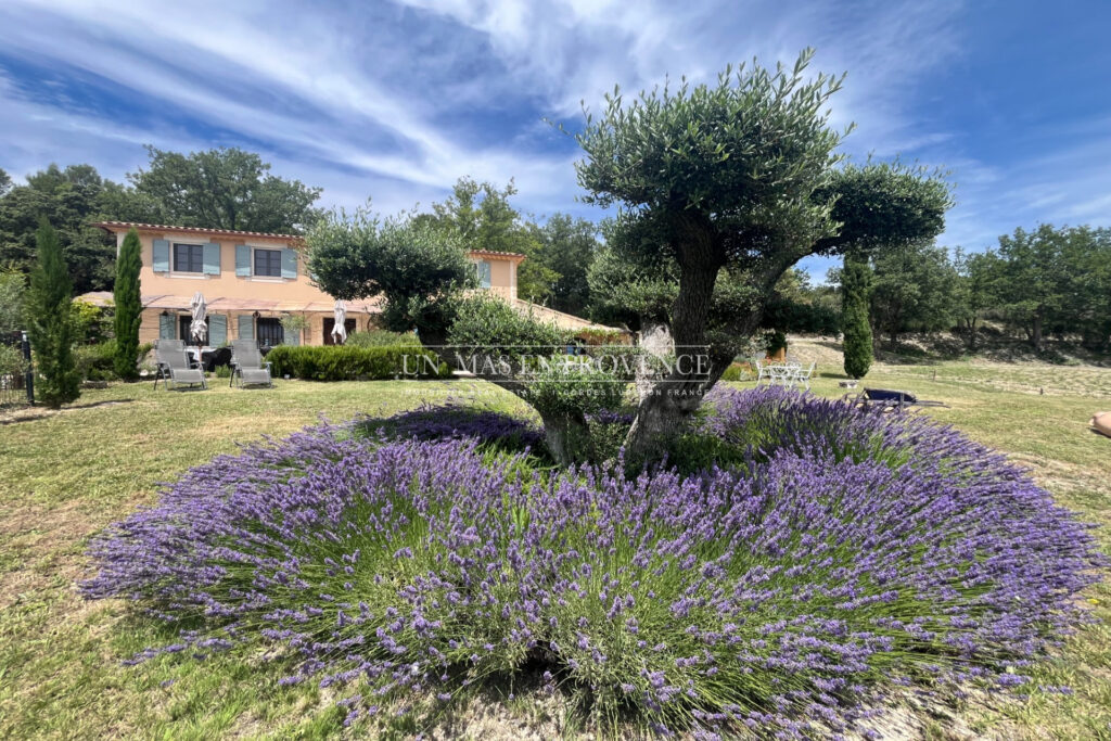 Bastide provençale de charme proche de Gordes avec piscine cha – 7 pièces – 5 chambres – 300.00 m²