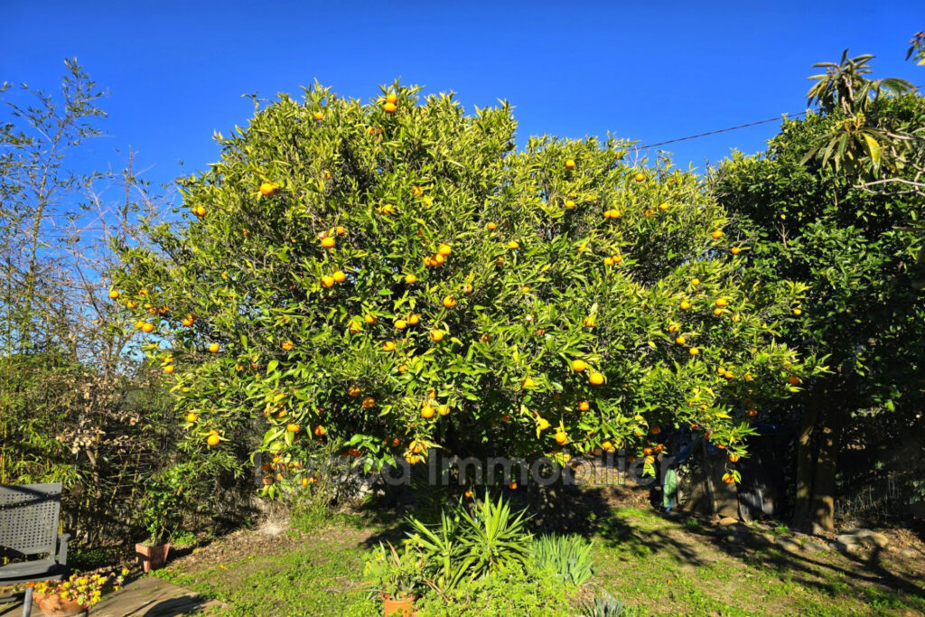 Achat maison à Montesquieu des Albères – 4 pièces – 3 chambres – 87.00 m²