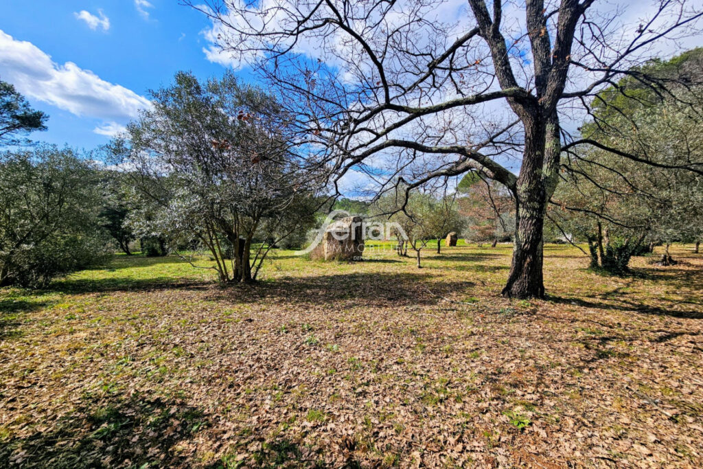 Bastide avec piscine sur plus d’1 hectare ? 2 habitations ? Le – 9 pièces – 5 chambres – 216.00 m²