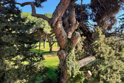 vente 1 Pièce(s) – 1 pièce – NR chambres – 29.33 m²