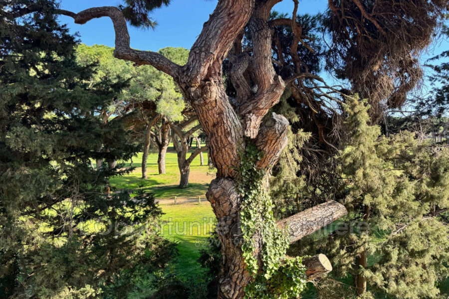 Appartement à vendre à Mandelieu-la-napoule