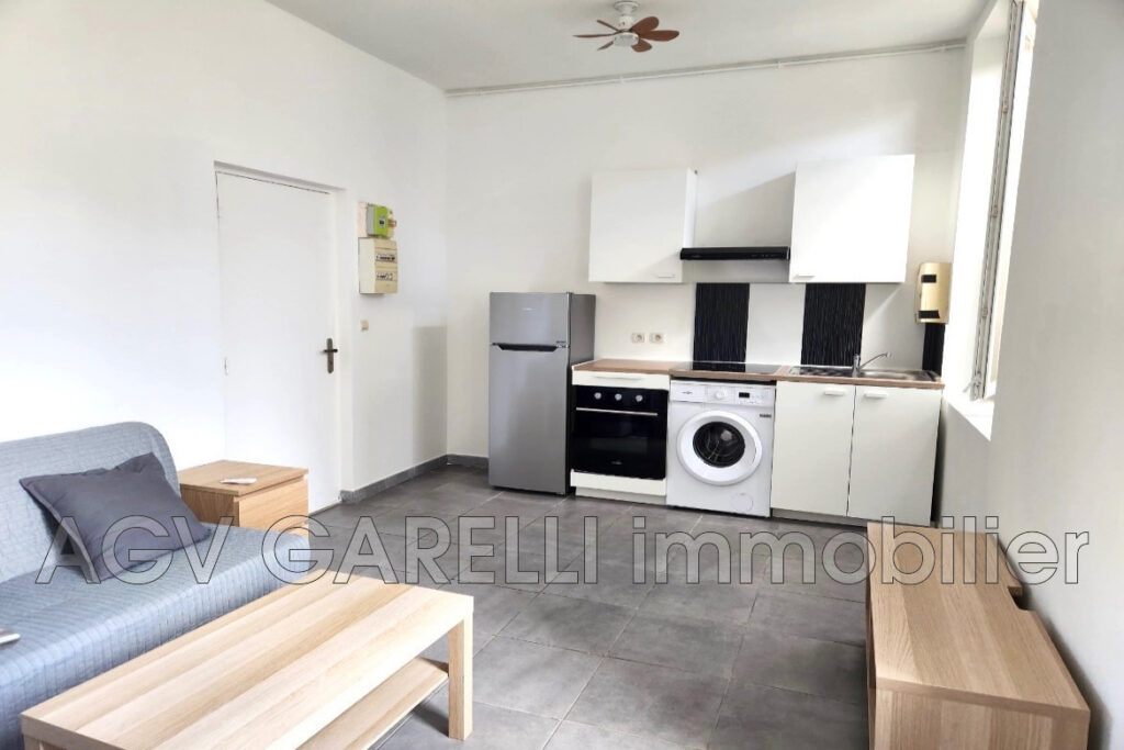 location appartement 1 Pièce(s) – 1 pièce – NR chambres – 20.50 m²