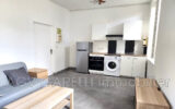 location appartement 1 Pièce(s) – 1 pièce – NR chambres – 20.50 m²