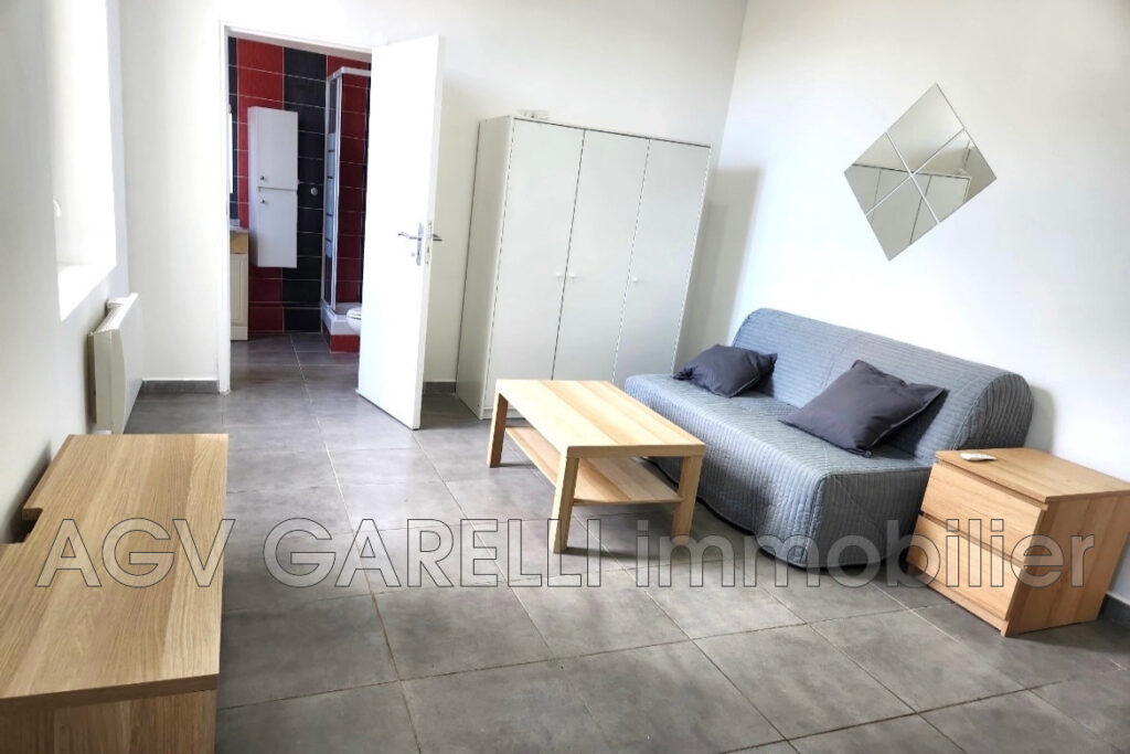 location appartement 1 Pièce(s) – 1 pièce – NR chambres – 20.50 m²