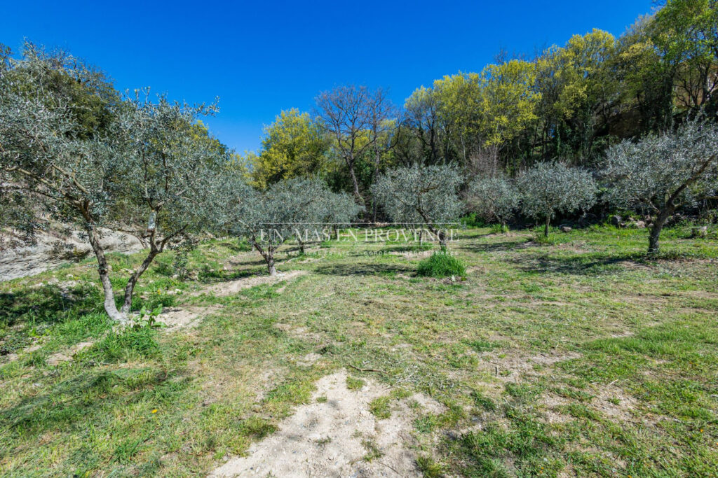 Mas Provençal de Charme avec Piscine ? Vue sur les Collines du – NR pièces – 4 chambres – 190.00 m²