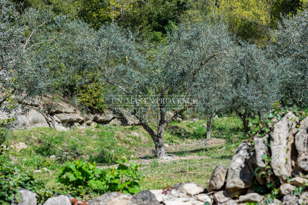Mas Provençal de Charme avec Piscine ? Vue sur les Collines du – NR pièces – 4 chambres – 190.00 m²