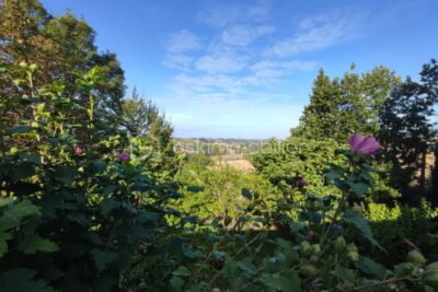 À vendre – Maison à Salvagnac (81630) – 4 pièces – 3 chambres – 125 m²