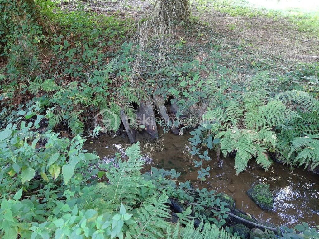 Terrain de loisir 9275 m² – Cognac la Forêt 87310 – NR pièces – NR chambres – 9773 m²