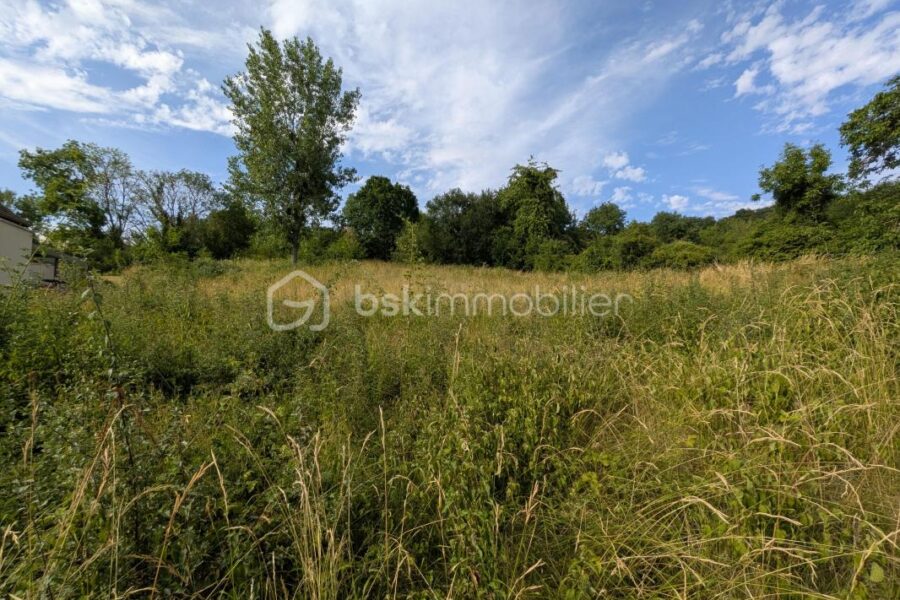 Terrain à vendre à Champillon — Vue vignes — photo 7