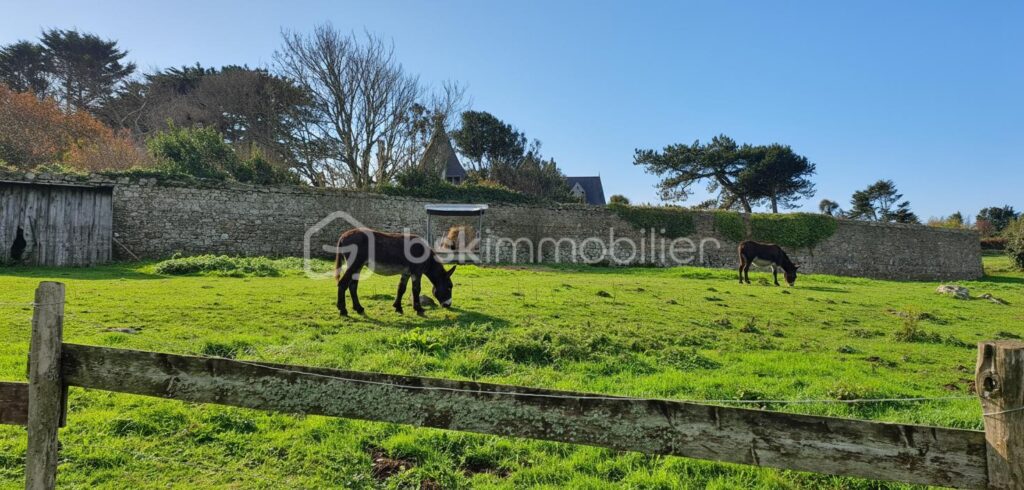 MAISON ET GITES EMPLACEMENT IDEAL! – 7 pièces – 4 chambres – 140 m²