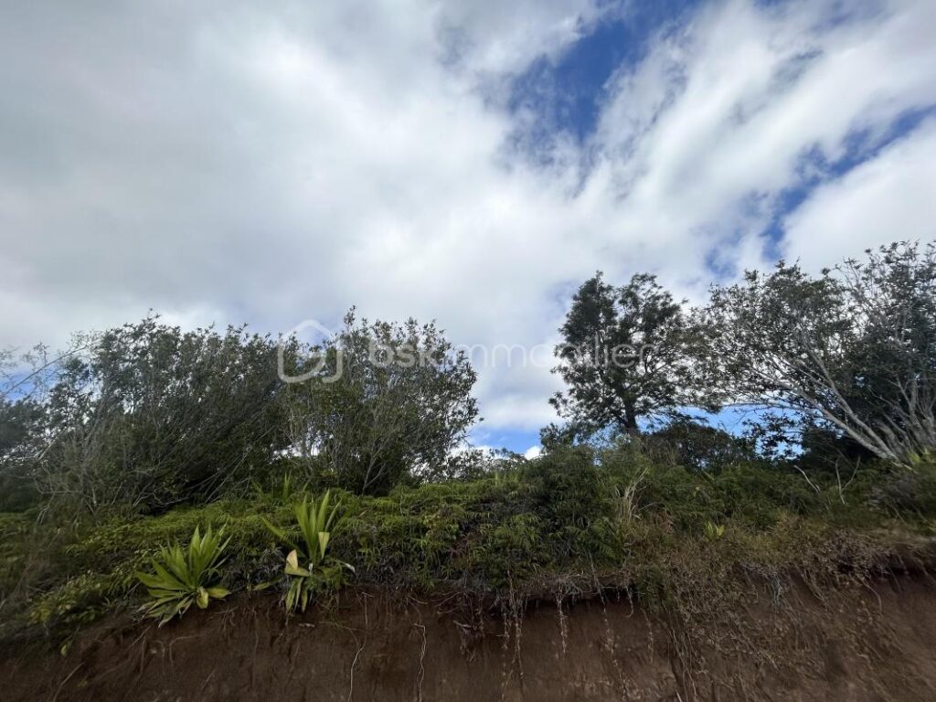 Parcelle de terrain constructible de 994 m2 (vue mer et montagne) – NR pièces – NR chambres – 994 m²