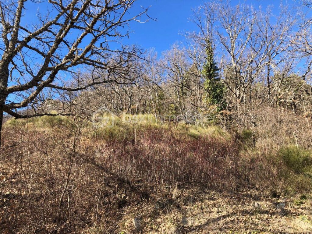 À Vendre – Terrain Constructible de 1 700 m² à Mujouls – NR pièces – NR chambres – 1700 m²