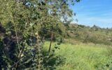 Terrain à vendre à Bouxieres aux chenes