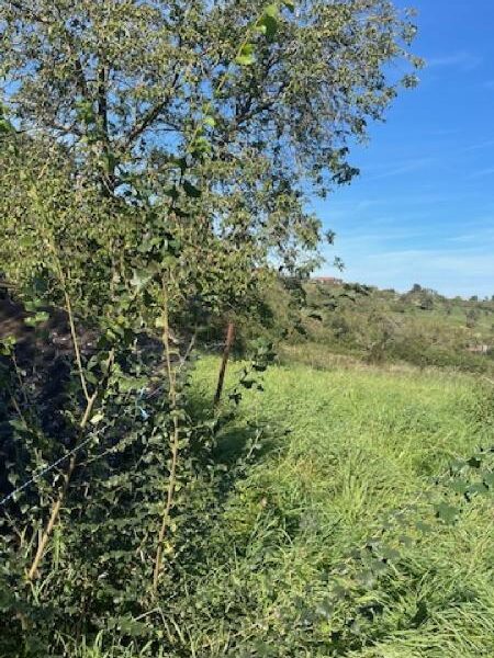 Terrain à vendre à Bouxieres aux chenes