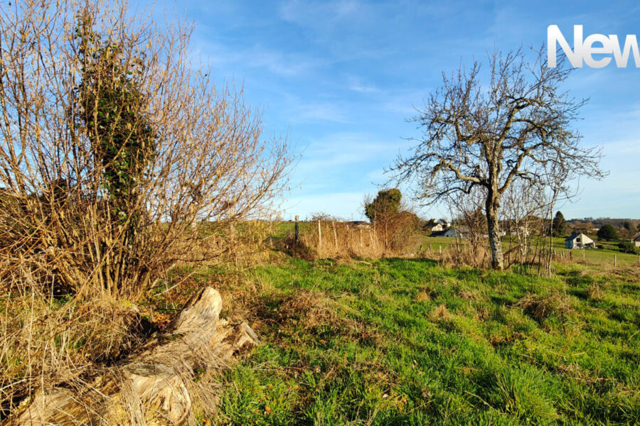 Terrain à vendre à Donzenac