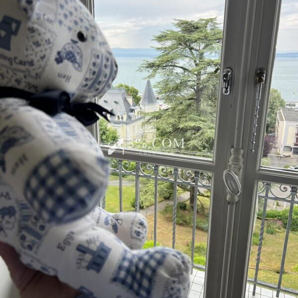 Appartement à vendre à Evian les bains
