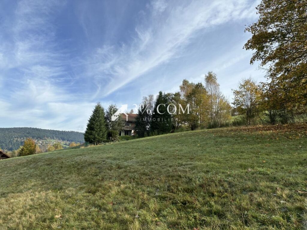 Terrain à bâtir 1800 m2 secteur Gerardmer – NR pièces – NR chambres – 1800 m²