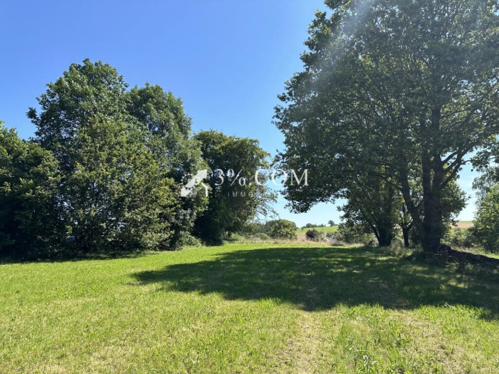 Terrain constructible de 6363 m2 sur la commune d’Uriménil – NR pièces – NR chambres – 6363 m²
