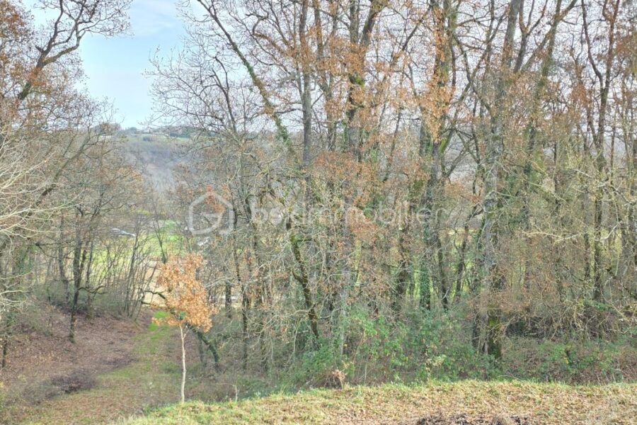 Maison à vendre à Moirax