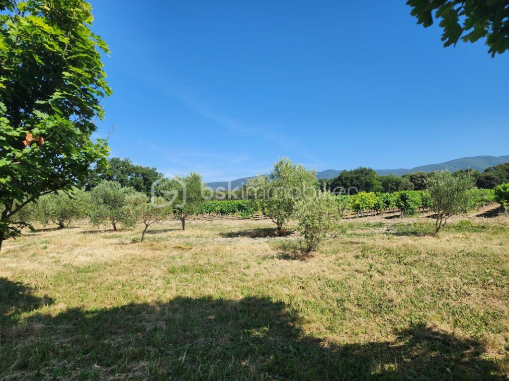 Mas Authentique au Cœur du Luberon sur plus de 2,7 hectares – 5 pièces – 3 chambres – 180 m²