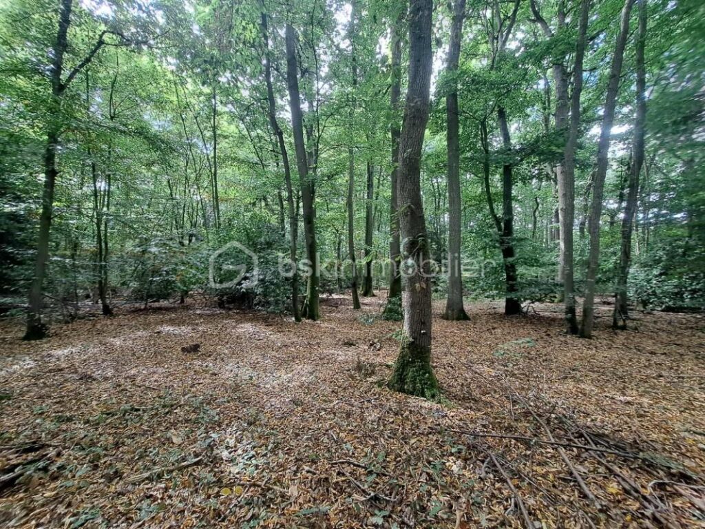 Maison au cœur d’une parcelle boisée – Coup de cœur assuré ! – 4 pièces – 3 chambres – 117 m²