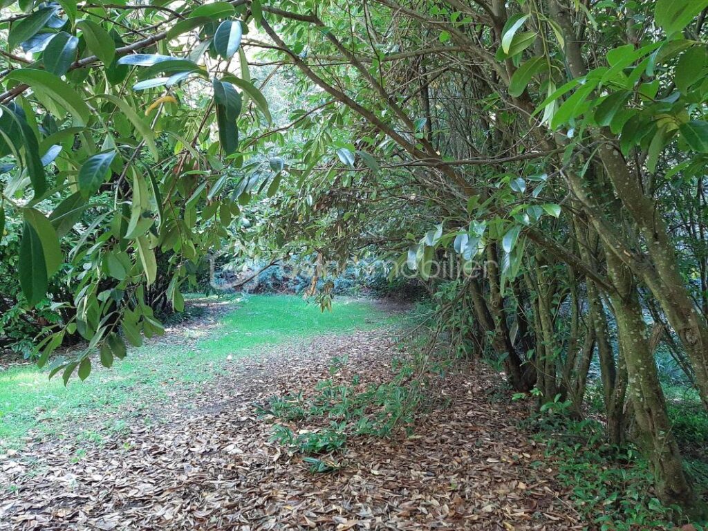 Terrain de loisir 9275 m² – Cognac la Forêt 87310 – NR pièces – NR chambres – 9773 m²