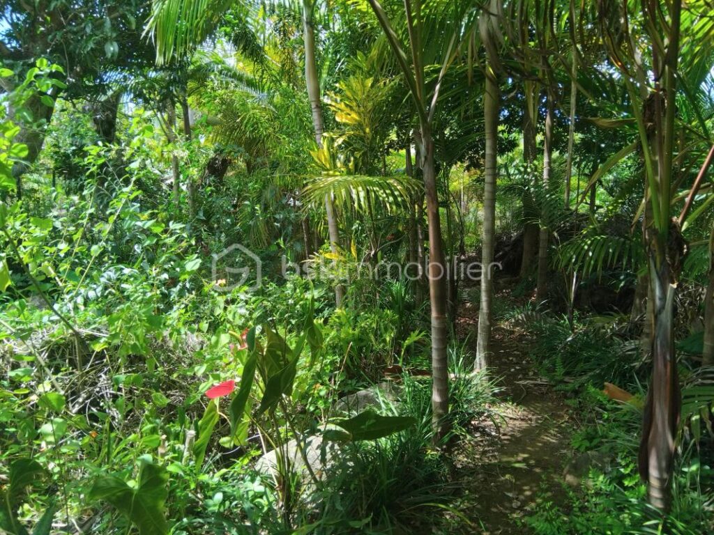 Villa avec piscine jacuzzi et jardin à l’île de la Réunion – 7 pièces – 4 chambres – 171 m²