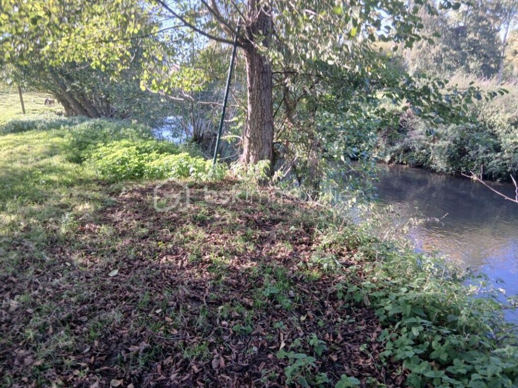 Terrain constructible en bordure de rivière – NR pièces – NR chambres – 1250 m²