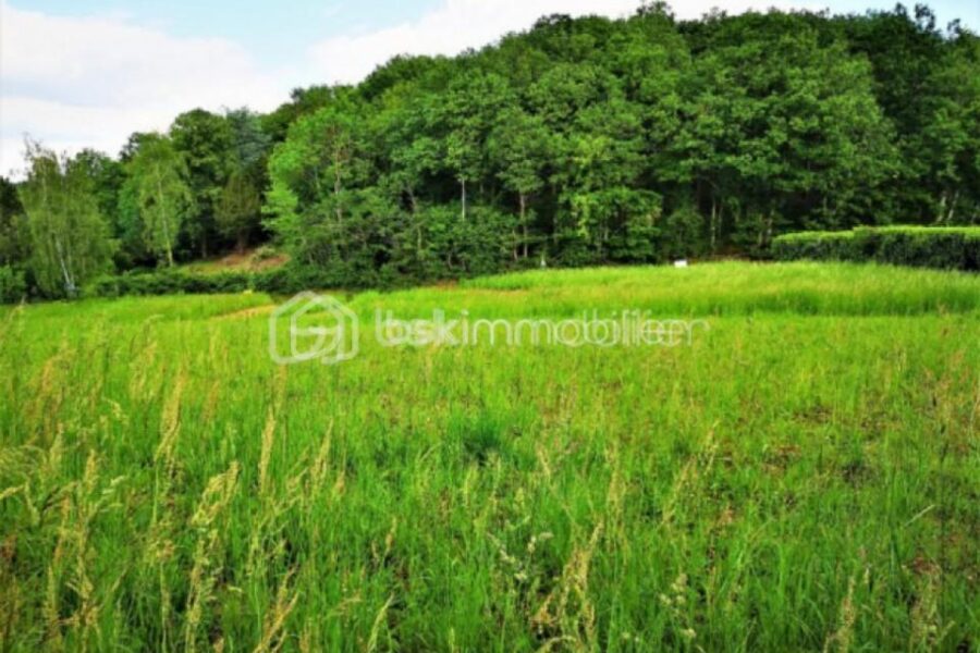 Terrain à vendre à Maintenon — Vue nature — photo 8