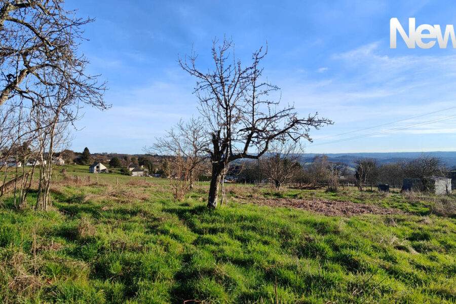 Terrain à vendre à Donzenac
