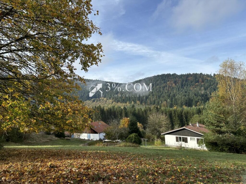 Terrain à bâtir 1800 m2 secteur Gerardmer – NR pièces – NR chambres – 1800 m²