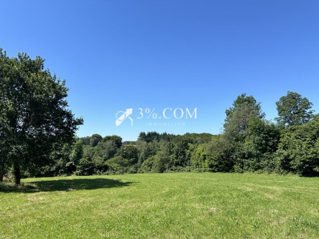 Terrain constructible de 6363 m2 sur la commune d’Uriménil – NR pièces – NR chambres – 6363 m²