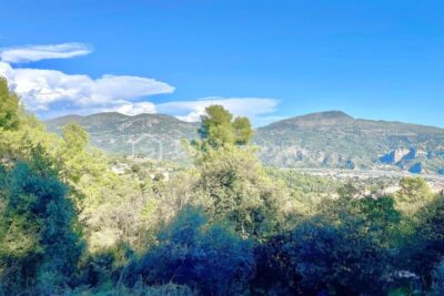 TERRAIN AVEC PERMIS – 4 104 m² – VUE DÉGAGÉE – CALME ABSOLU – NR pièces – NR chambres – 4104 m²