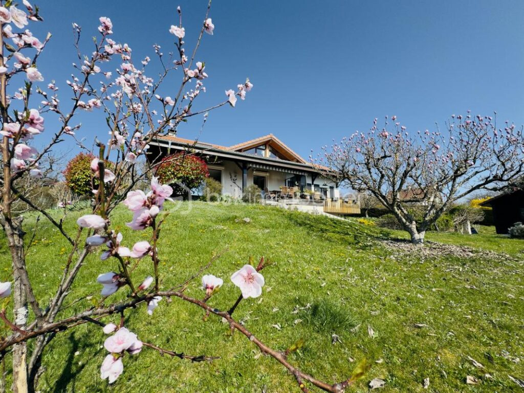 VILLA FAMILIALE D’ARCHITECTE – VUE PANORAMIQUE – EPAGNY METZ-TESSY – 6 pièces – 4 chambres – 167 m²