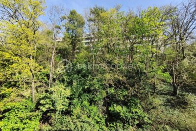 Appartement 63m², 2 chambres , centre-ville – 3 pièces – 2 chambres – 63 m²