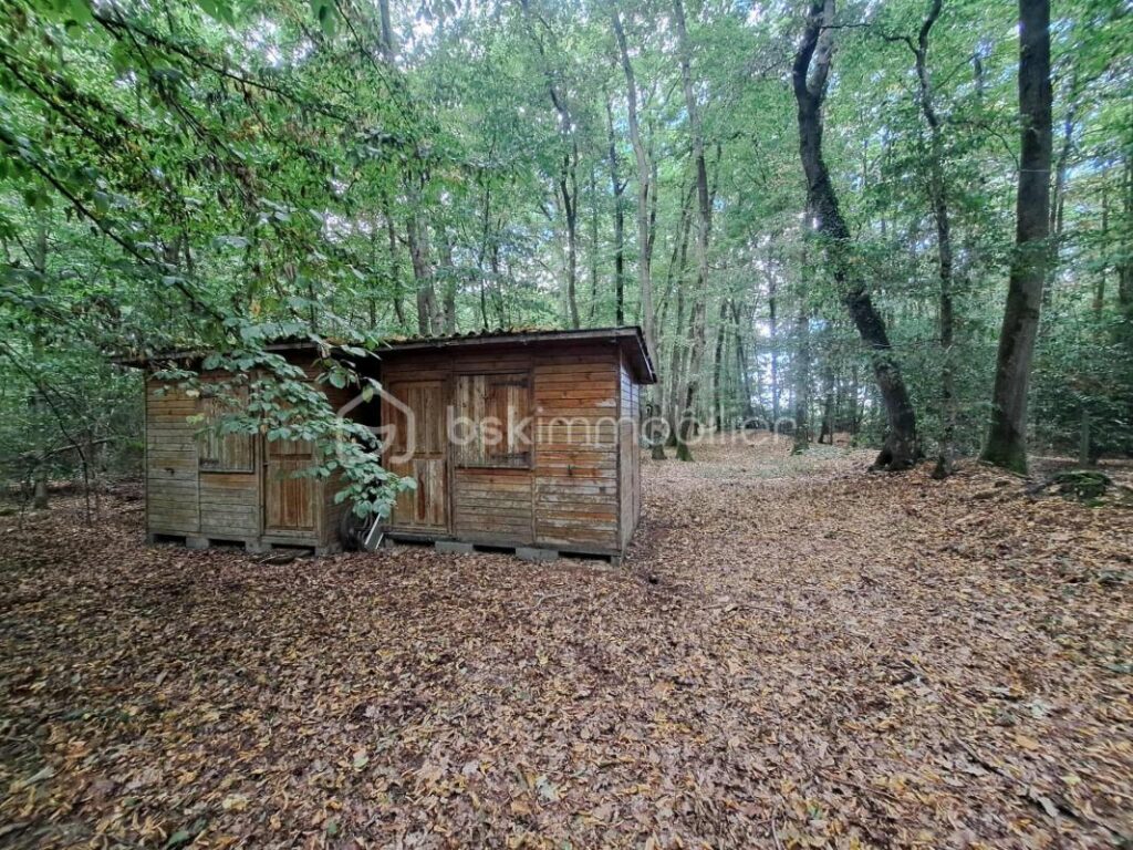 Maison au cœur d’une parcelle boisée – Coup de cœur assuré ! – 4 pièces – 3 chambres – 117 m²