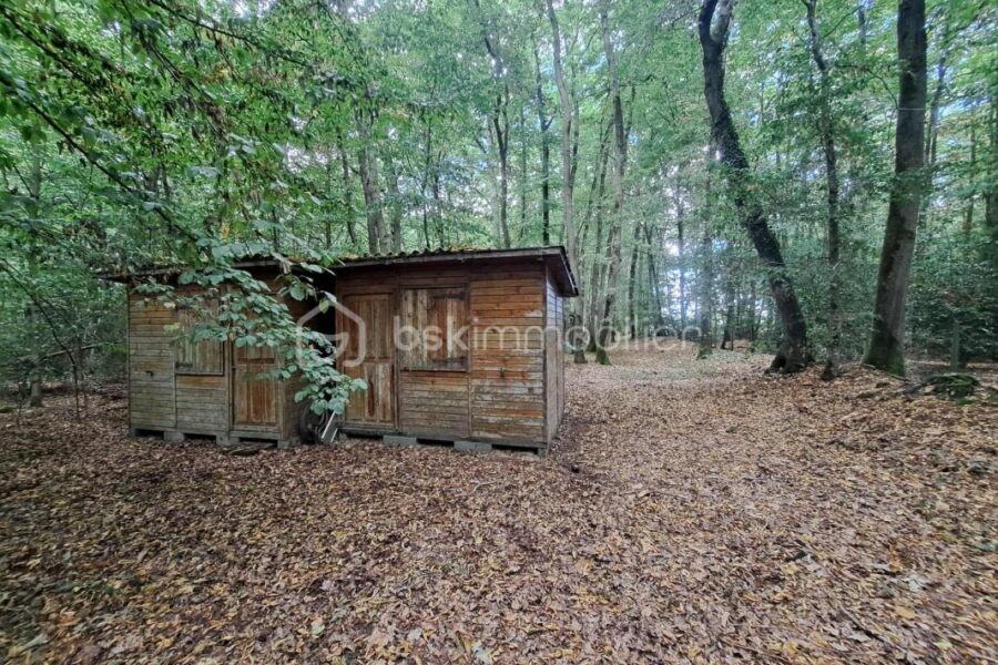 Maison à vendre à Breteuil