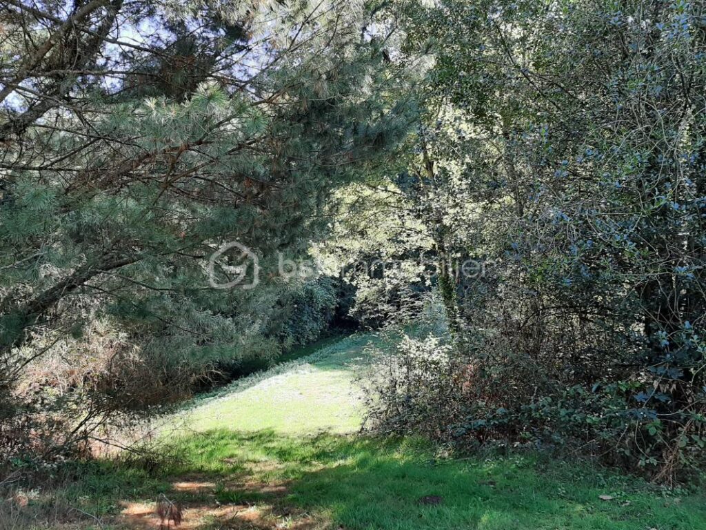Terrain de loisir 9275 m² – Cognac la Forêt 87310 – NR pièces – NR chambres – 9773 m²