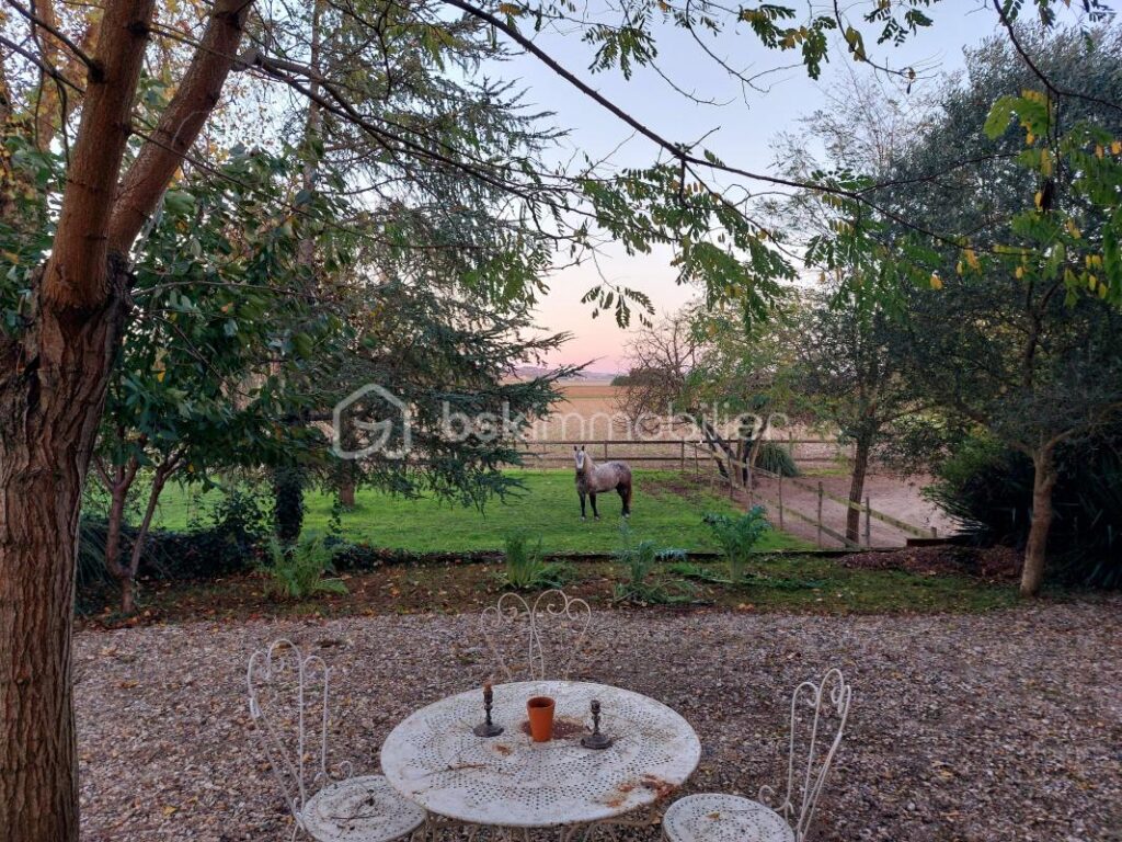 Maison 242m2 avec installations équestre, terrain 8000m2 – 7 pièces – 4 chambres – 242 m²