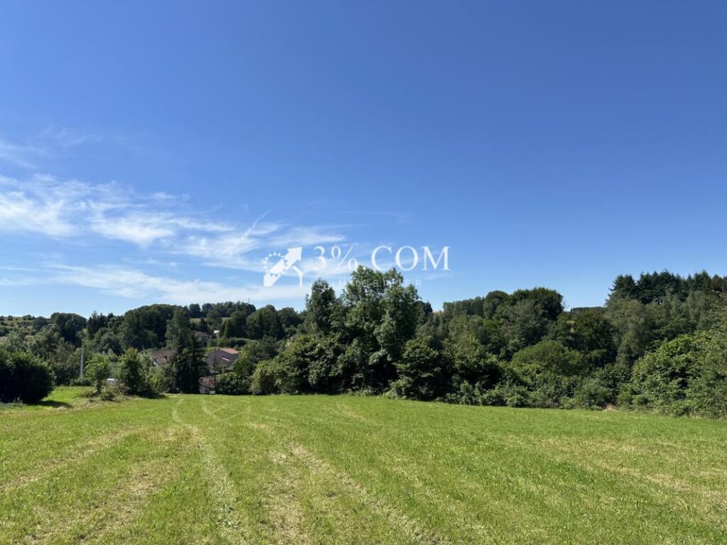 Terrain constructible de 6363 m2 sur la commune d’Uriménil – NR pièces – NR chambres – 6363 m²