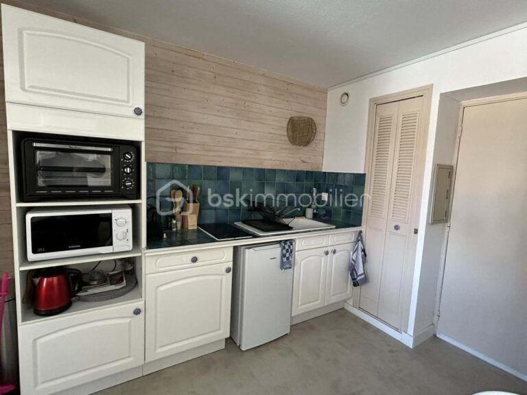 Appartement T2 climatisé 26m² entièrement rénové 119000e – 2 pièces – 1 chambre – 26 m²