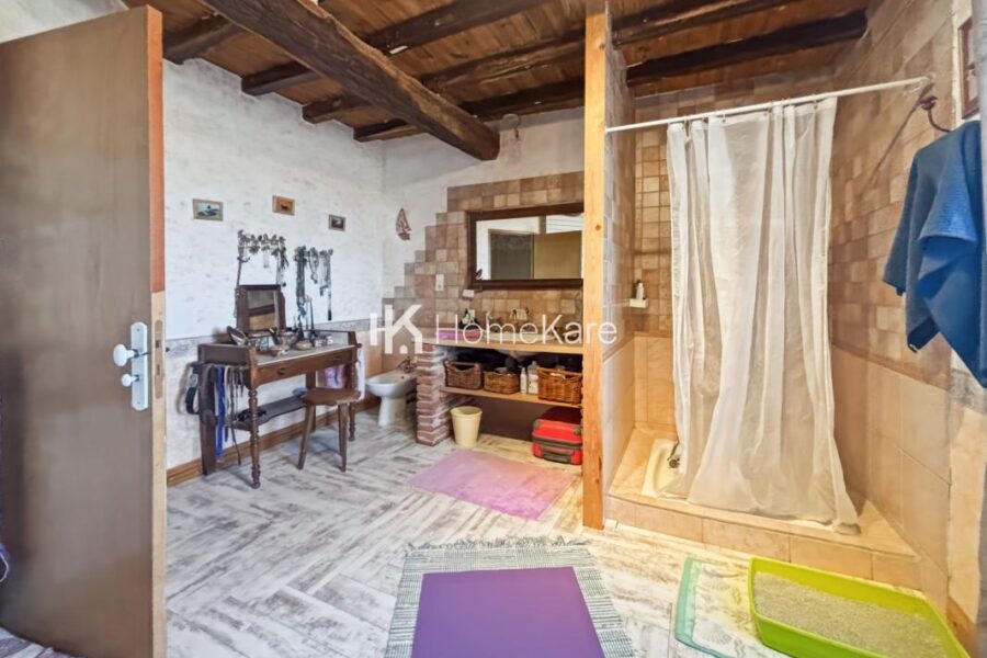 Maison à vendre à Lezat sur leze
