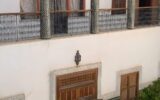Riad d’exception à rénover –  Bab Doukala – 507 m² – 1 500 000 € – NR pièces – NR chambres – 507 m²