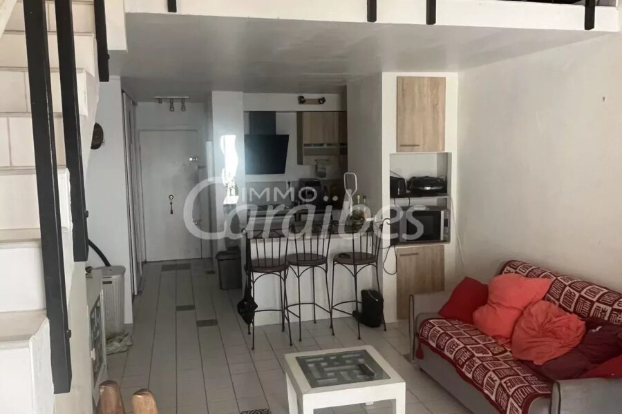Appartement à vendre à Marigot