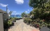 Maison à vendre à Saint-barthélemy