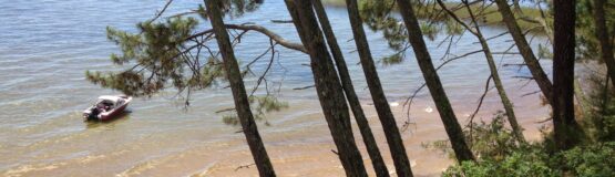 vue lac étang de cazaux