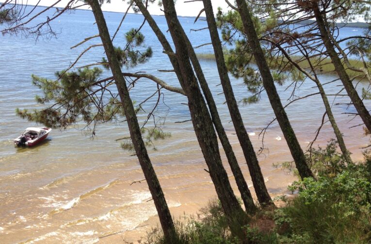 vue lac étang de cazaux