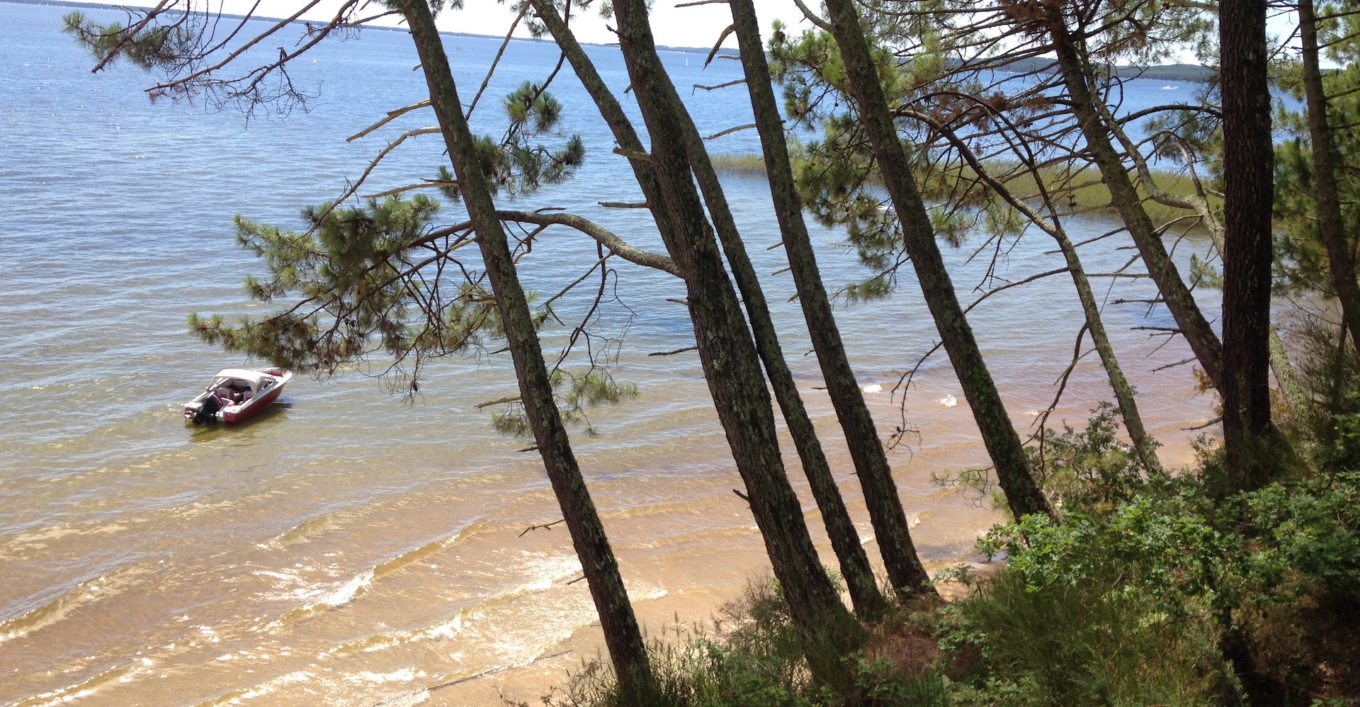 vue lac étang de cazaux