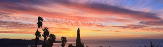 vue mer nice coucher de soleil palmier