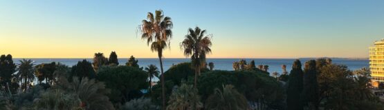 vue mer nice immobilier palmier